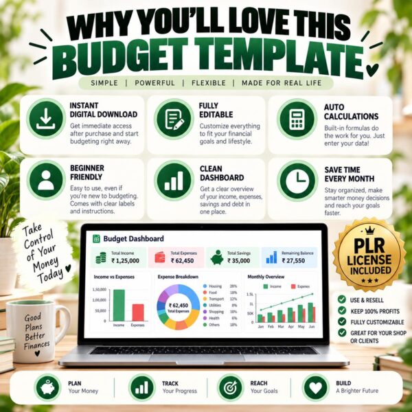 PLR Budget Spreadsheet Editable Budget Planner Template 8